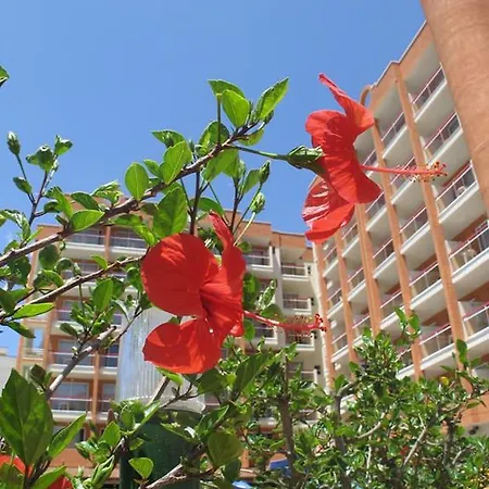 Ohtels Belvedere 3* Σαλού